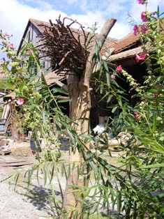 la grange de martine