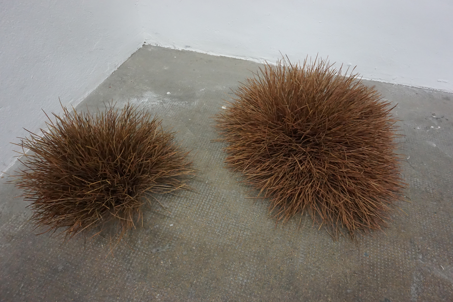 Dominique Ghesquière