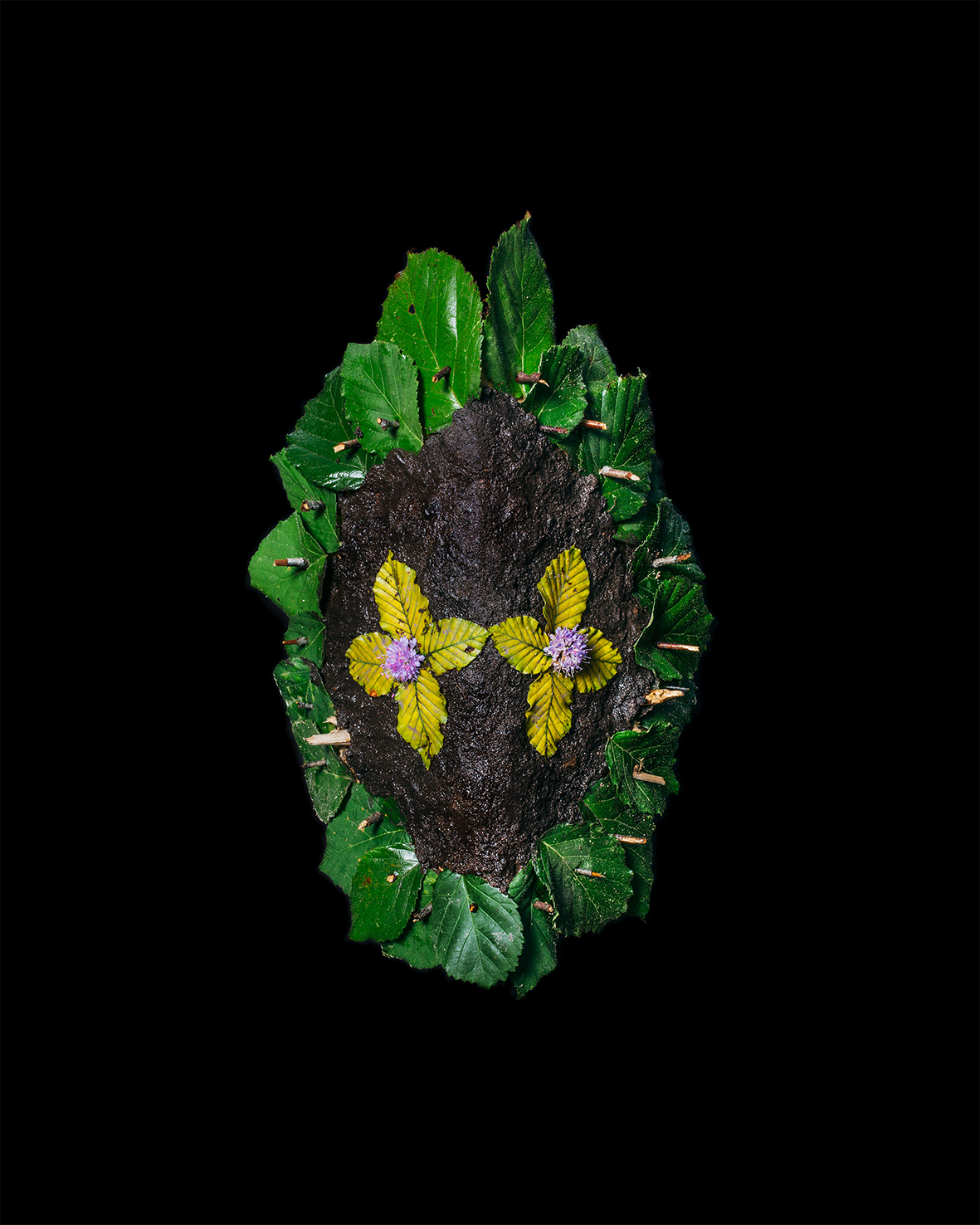 Vincent et Hugo Muller / Mairelle