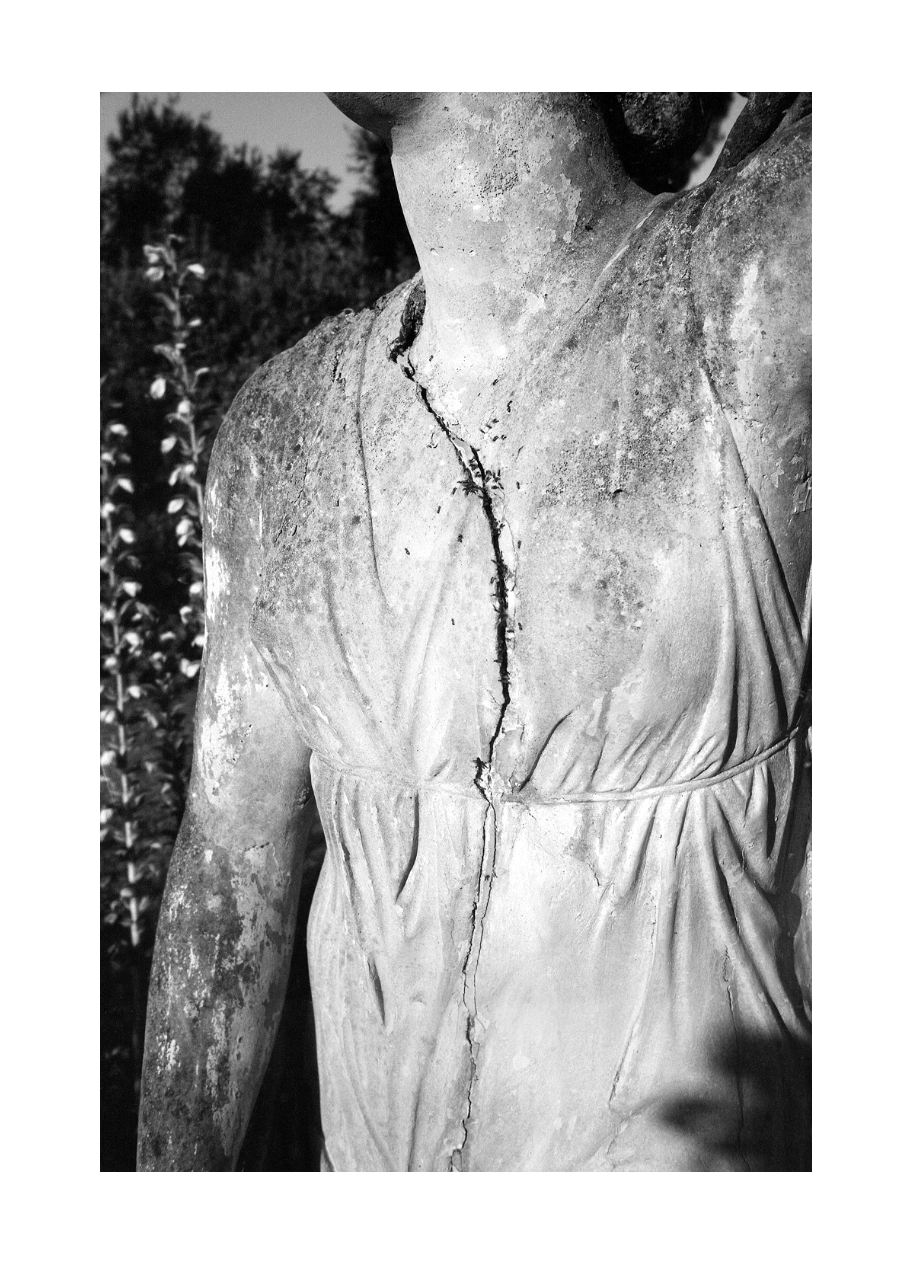 Violaine Chaussonnet