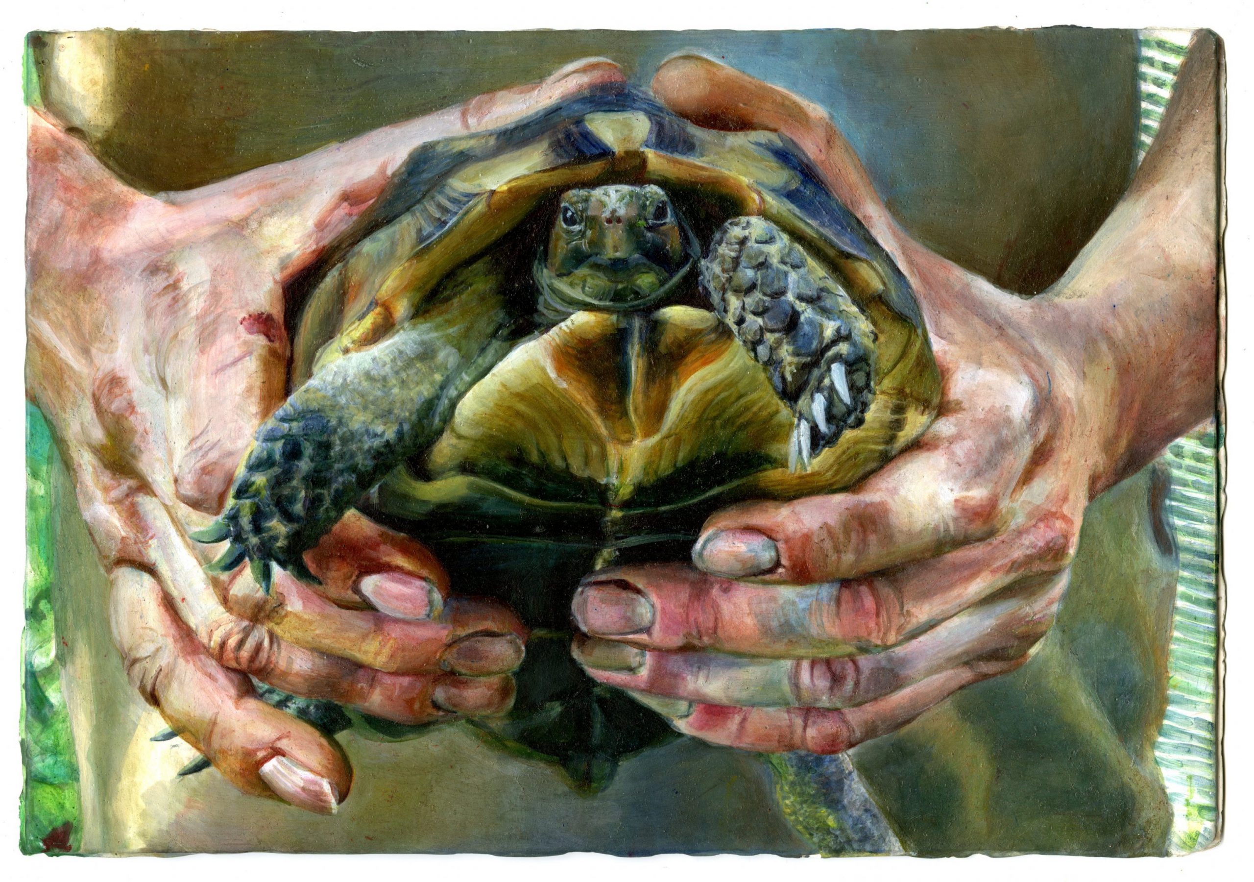 Clémentine  Margheriti