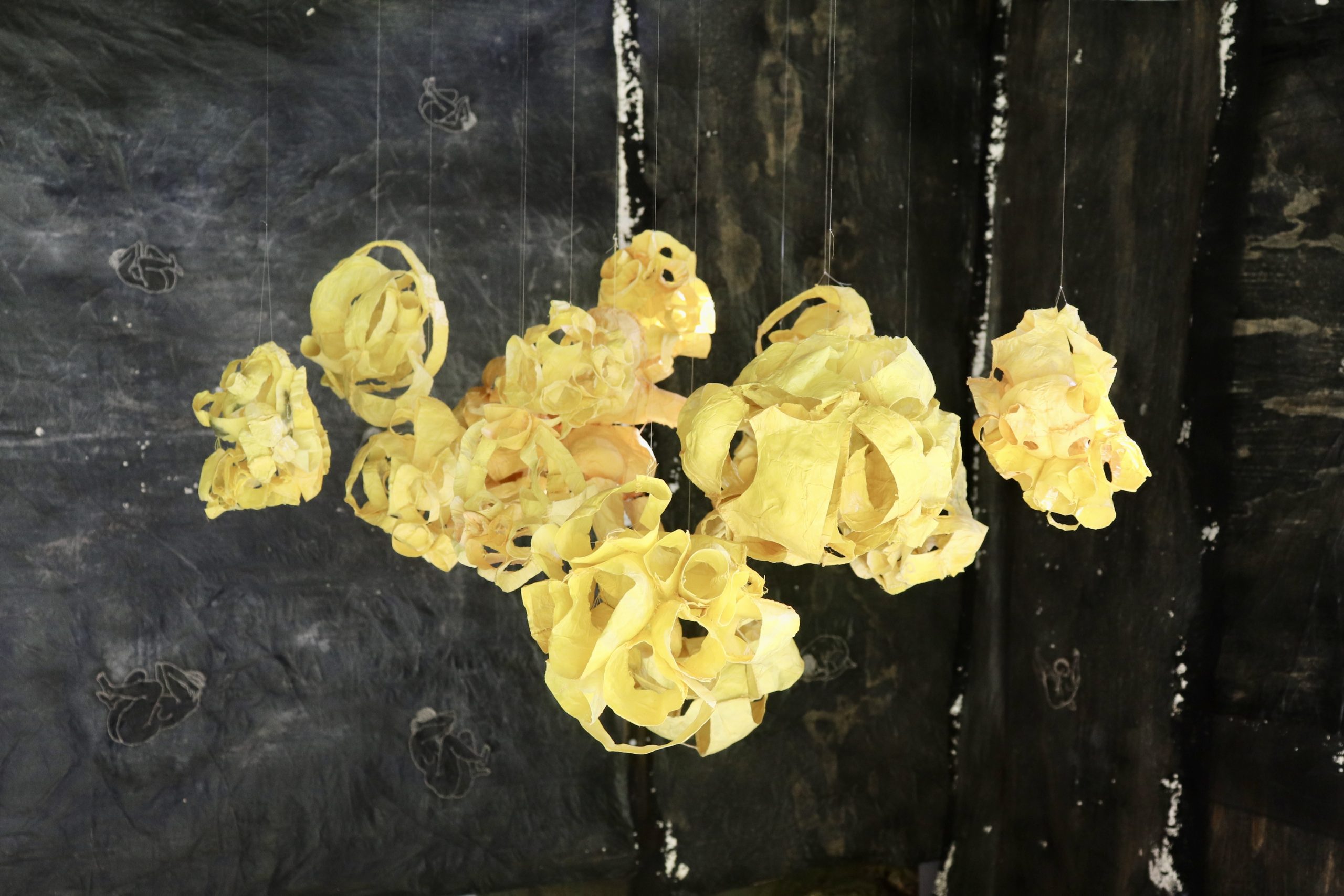 Anne-Dominique Hubert