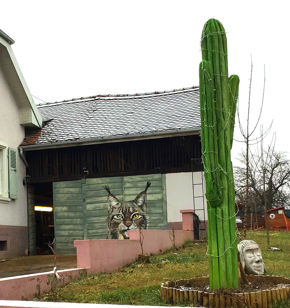 Cactus Studio