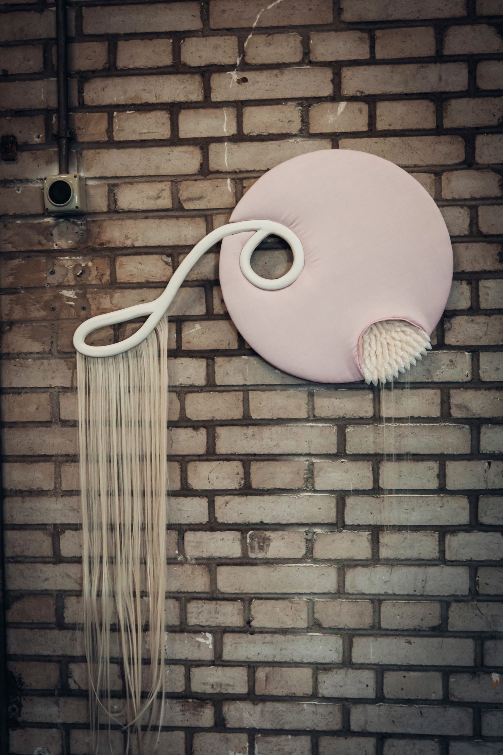 Madeleine Ashe-LEroy